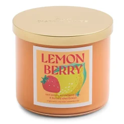 Distant Lands 14oz Lemon Berry 3-Wick Scented Jar Candle