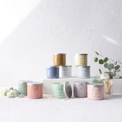 Distant Lands 14oz Modern Magnolia 3-Wick Scented Jar Candle