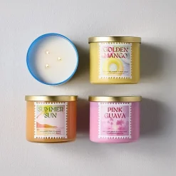 Distant Lands 14oz Summer Sun 3-Wick Scented Jar Candle