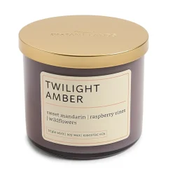 Distant Lands 14oz Twilight Amber 3-Wick Scented Jar Candle