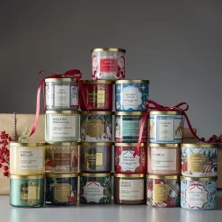 Distant Lands Winterberry 3-Wick Scented Jar Candle