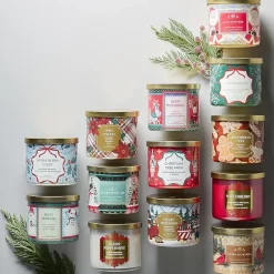 Distant Lands Winterberry 3-Wick Scented Jar Candle