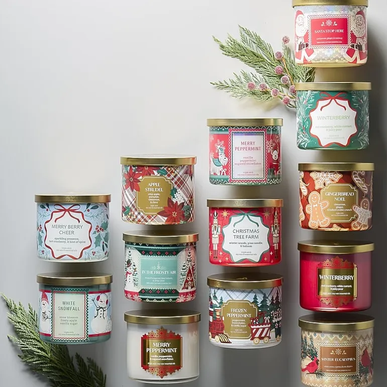 Distant Lands Winterberry 3-Wick Scented Jar Candle