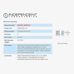 Ever Star (G / SI1-SI2) 2 CT. T.W. Lab-Grown Diamond 10K or 14K Gold Princess Stud Earrings