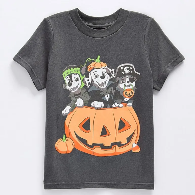 Grayson Little Toddler Boys Crew Neck Short Sleeve Relaxed Fit Paw Patrol Graphic T-Shirt