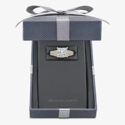 Grown Gorgeous (F, Vs2) Womens 3 5/8 Ct. T.W. Lab Grown White Diamond 14K Gold or Platinum Princess-cut Side Stone Bridal Set