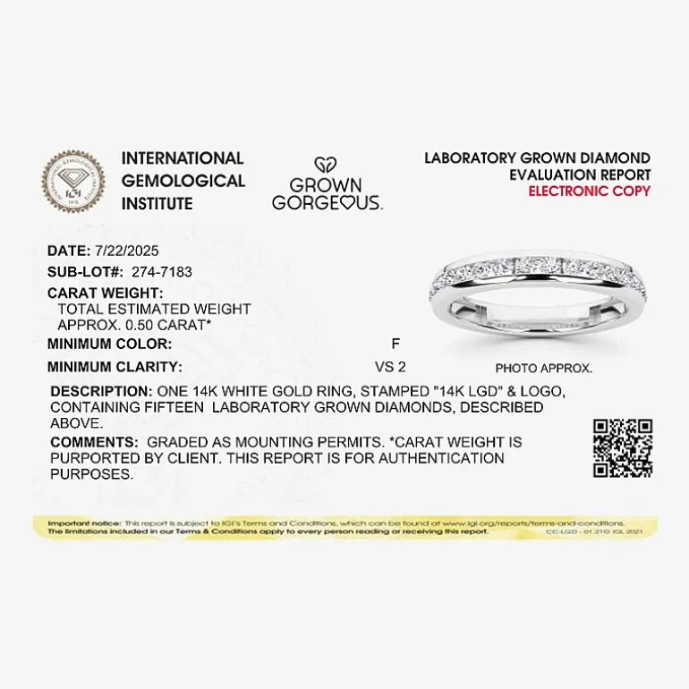 Grown Gorgeous (F, Vs2) Womens 1/2 CT. T.W. Lab Grown White Diamond 14K Gold or Platinum Anniversary Wedding Band