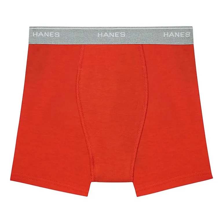 Hanes Potty Trainer Toddler Boys 6 Pack Boxer Briefs Tublbb