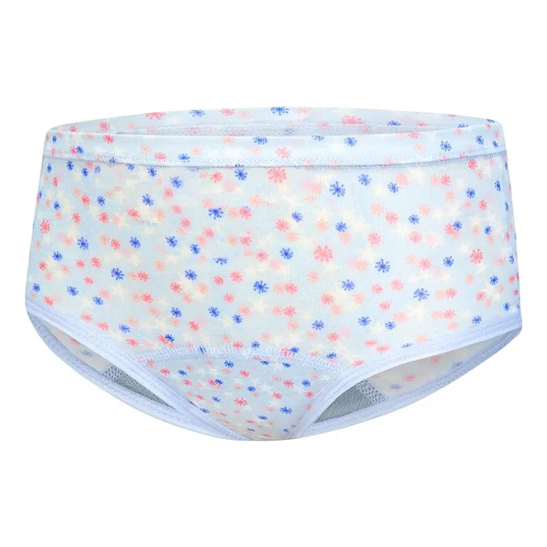 Hanes Potty Trainer Toddler Girls 6 Pack Briefs Tguptb