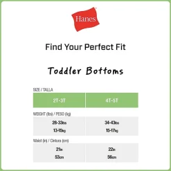 Hanes Potty Trainer Toddler Girls 6 Pack Briefs Tguptb