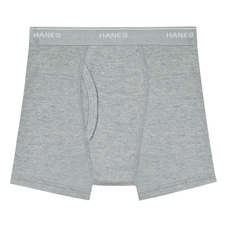 Hanes Toddler Boys 10 Pack Boxer Briefs Tub74p