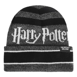 Harry Potter Mens Beanie