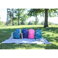 High Sierra Swoop SG Adult Backpack