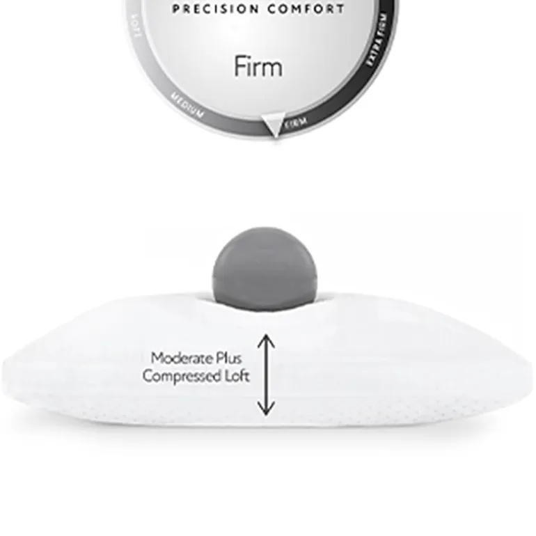 Home Expressions Molded Foam Firm Support Pillow