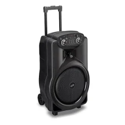iLive The Show Wireless Portable Speaker