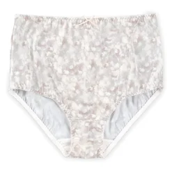 Ilusion High Waist Smoothing Brief- 2155