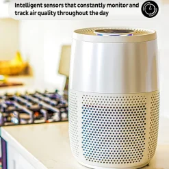 Instant® AP100 Home Purification System