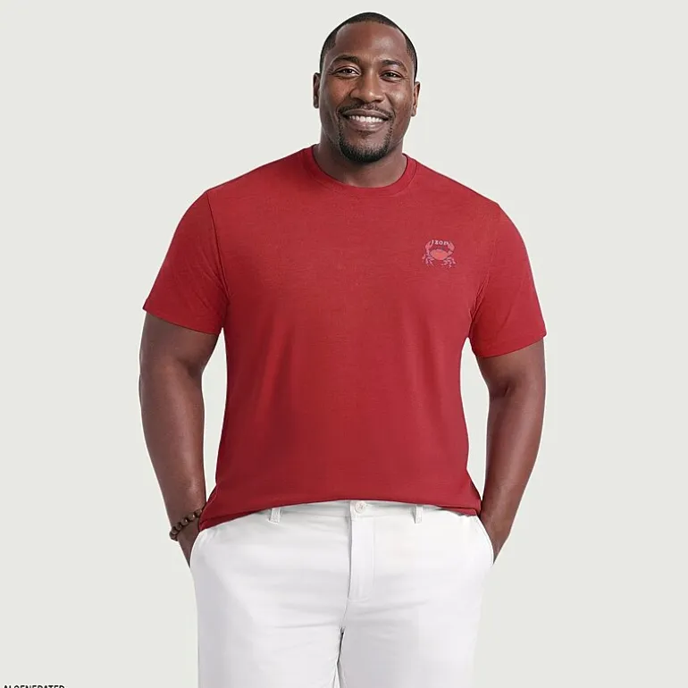 IZOD Mens Crew Neck Short Sleeve Classic Fit Big and Tall Graphic T-Shirt