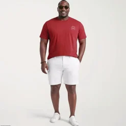 IZOD Mens Crew Neck Short Sleeve Classic Fit Big and Tall Graphic T-Shirt