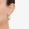 14K Yellow Gold Crystal-Cut Hoop Earrings