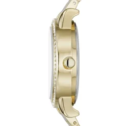 Ladies Womens Gold Tone 5-pc. Watch Boxed Set Fmdjset064