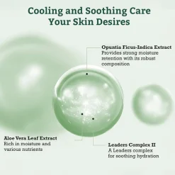 Leaders Aloe Soothing Skin Renewal Mask