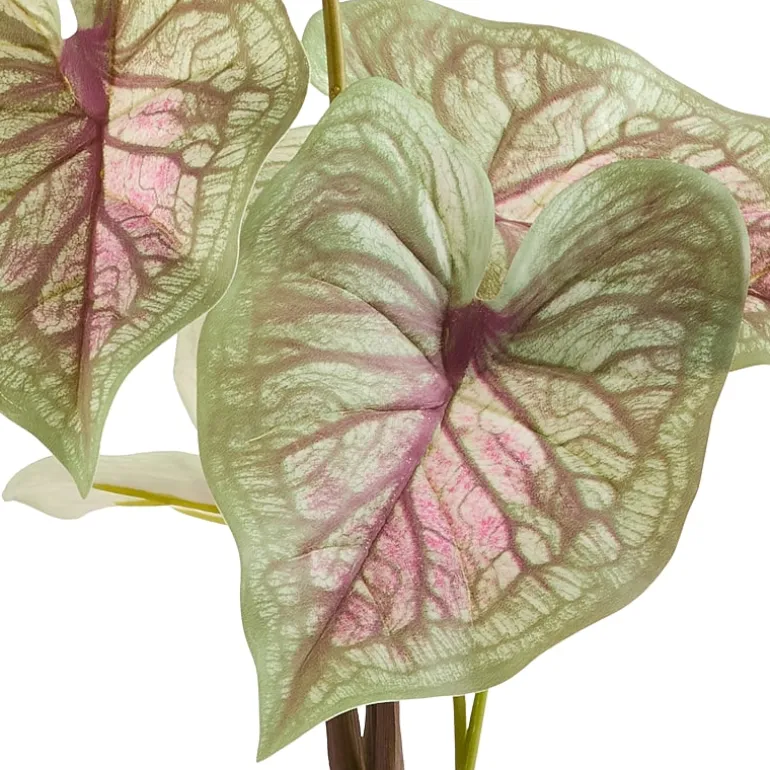 Linden Street 29in Candyland Caladium Artificial Plant