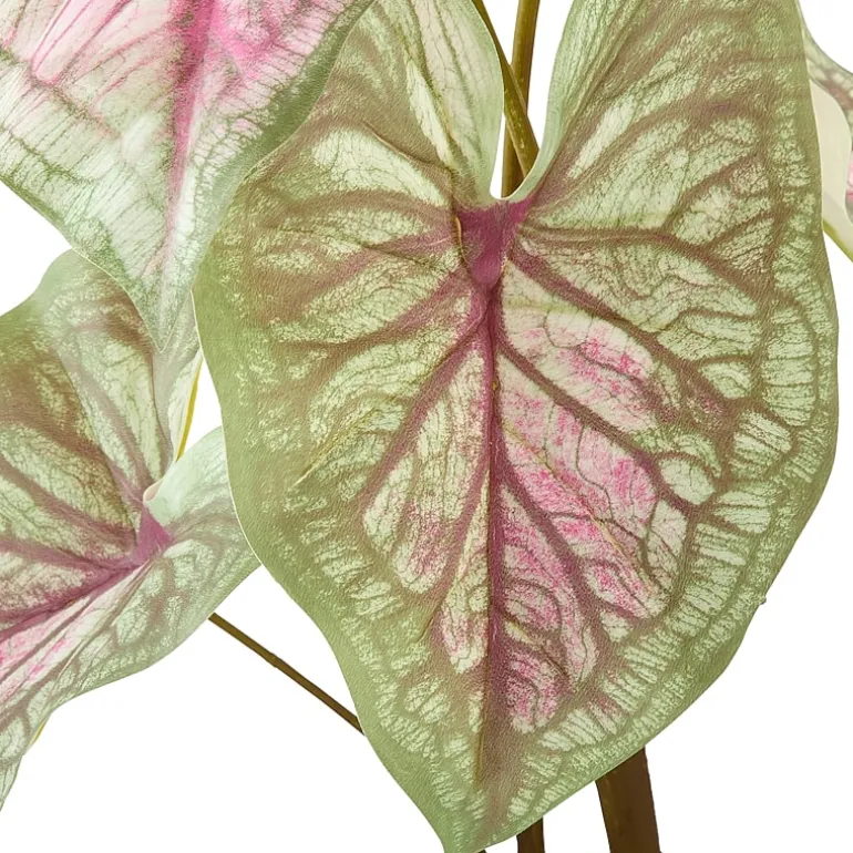 Linden Street 29in Candyland Caladium Artificial Plant