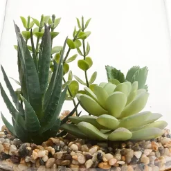 Linden Street 7in Mixed Succulent Terrarium Artificial Plant