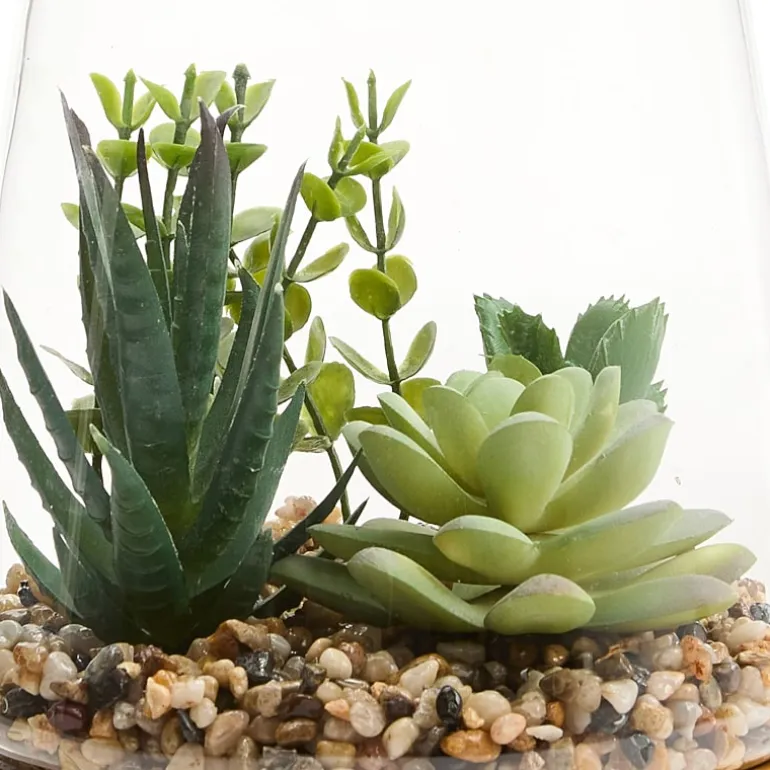 Linden Street 7in Mixed Succulent Terrarium Artificial Plant