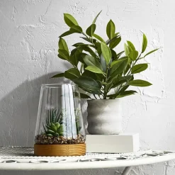 Linden Street 7in Mixed Succulent Terrarium Artificial Plant