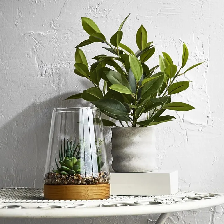 Linden Street 7in Mixed Succulent Terrarium Artificial Plant