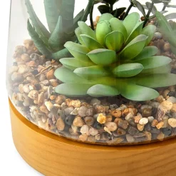 Linden Street 7in Mixed Succulent Terrarium Artificial Plant