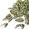 Linden Street 8in Tradescantia Trailing Artificial Plant