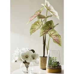Linden Street 8in White Magnolia Artificial Plant