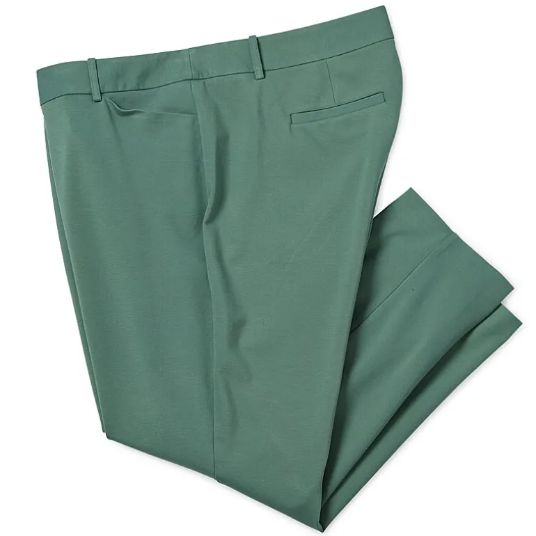 Liz Claiborne Adaptive Emma Ponte Womens Plus Easy-on + Easy-off Seated Wear Straight Mid Rise Ankle Pant