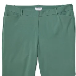 Liz Claiborne Adaptive Emma Ponte Womens Plus Easy-on + Easy-off Seated Wear Straight Mid Rise Ankle Pant