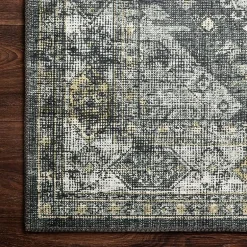 Loloi Skye Indoor Rectangular Accent Rug