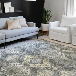 Loloi Skye Indoor Rectangular Accent Rug