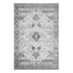 Loloi Skye Indoor Rectangular Accent Rug