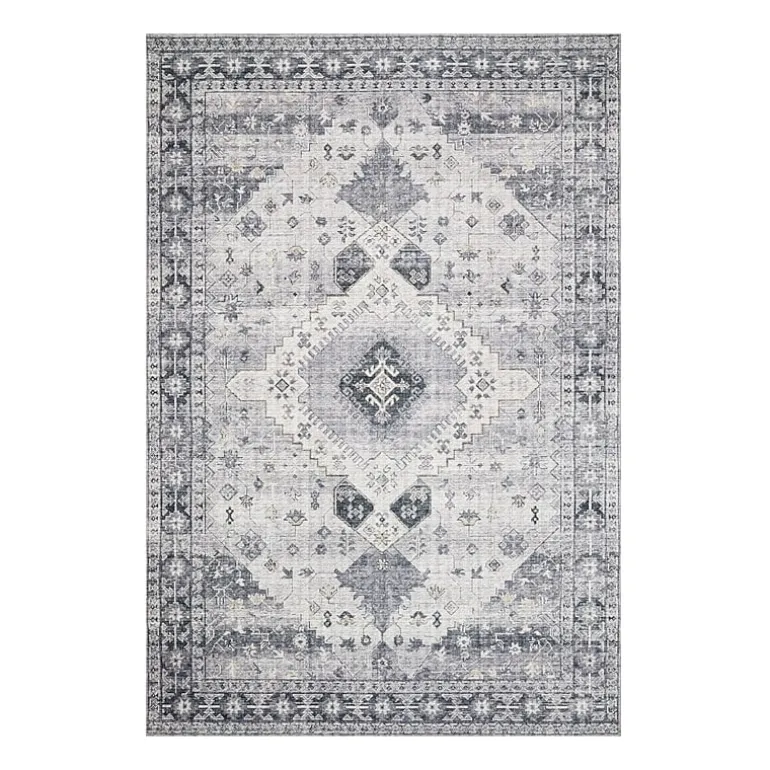 Loloi Skye Indoor Rectangular Accent Rug
