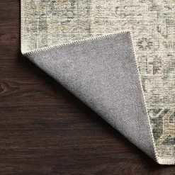 Loloi Skye Rectangular Indoor Accent Rug