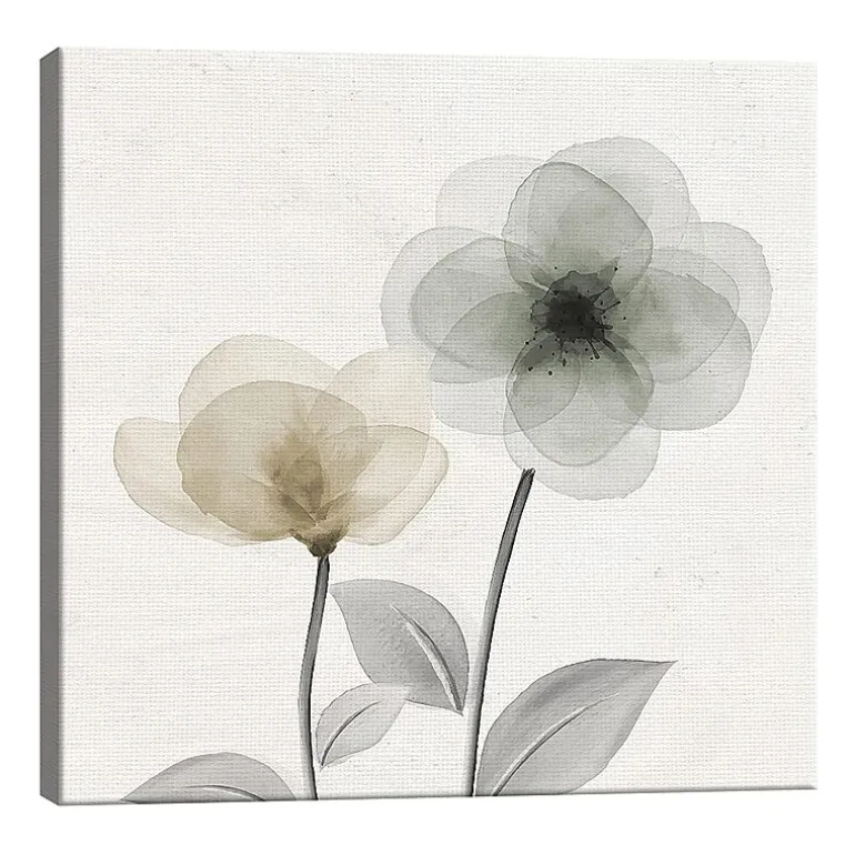 Lumaprints Open Bloom 2 Canvas Art