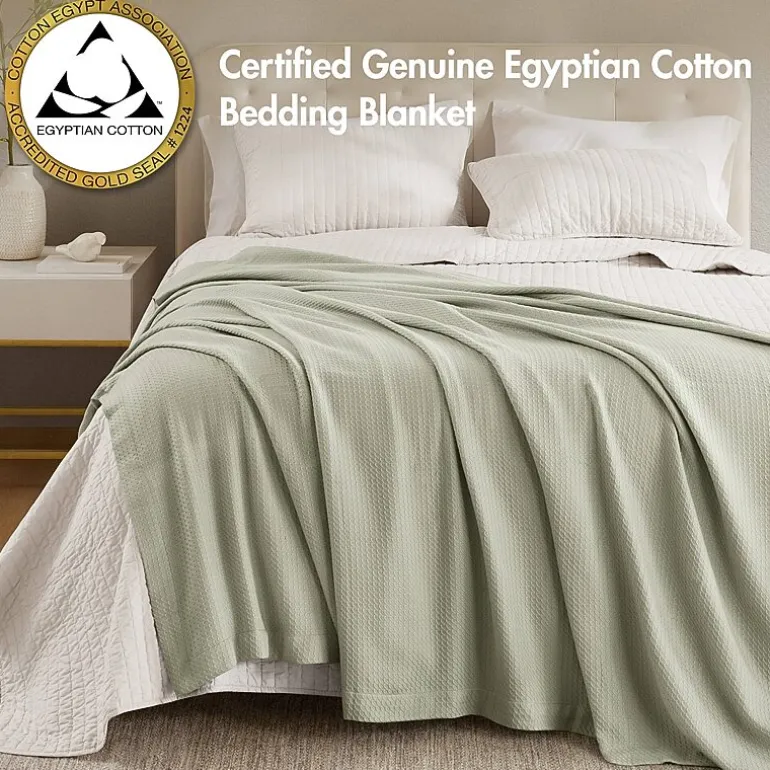 Madison Park Egyptian Cotton Blanket