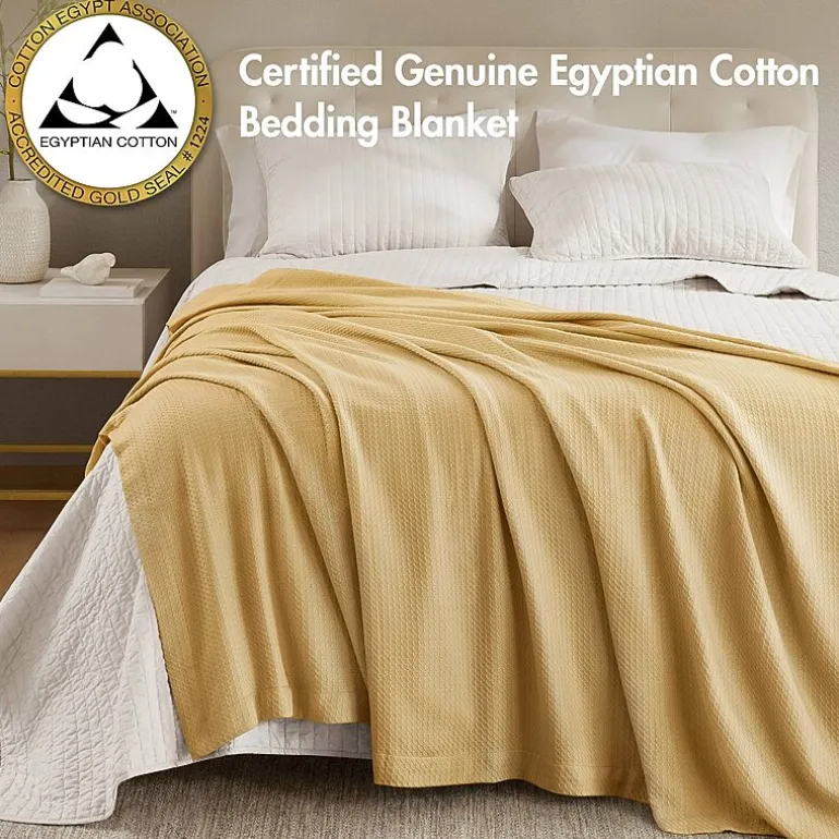 Madison Park Egyptian Cotton Blanket