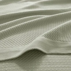 Madison Park Egyptian Cotton Blanket