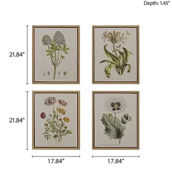 Madison Park Herbal Botany Botanical Illustration 4-pc. Framed Wall Art Sets