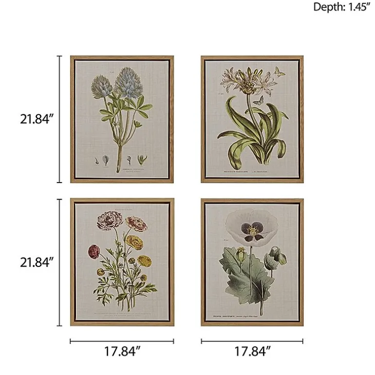 Madison Park Herbal Botany Botanical Illustration 4-pc. Framed Wall Art Sets