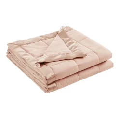 Madison Park Prospect Lightweight Down Alternative Blanket with Satin Trim