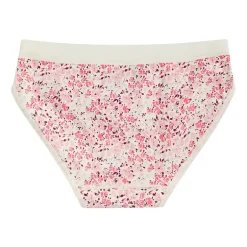 Maidenform Girls Seamless Hipster Panty J4101